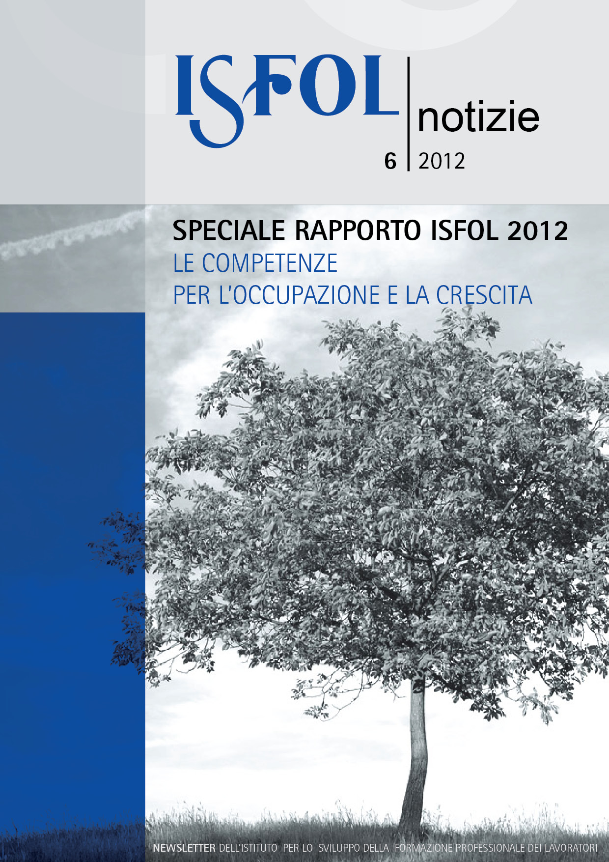 newsletter copertina n. 6