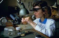 Collegato lavoro: una legge che vuole migliorare il sistema del mercato del lavoro