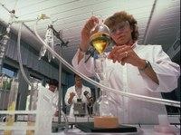 apprendista al lavoro