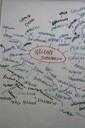 Isfol_FlaiLab_Strategia_e_organizzazione_9giugno2011_9.JPG