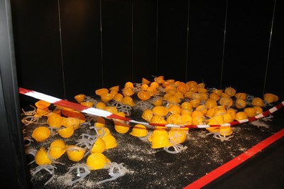 Isfol_lavoro_ 14.JPG