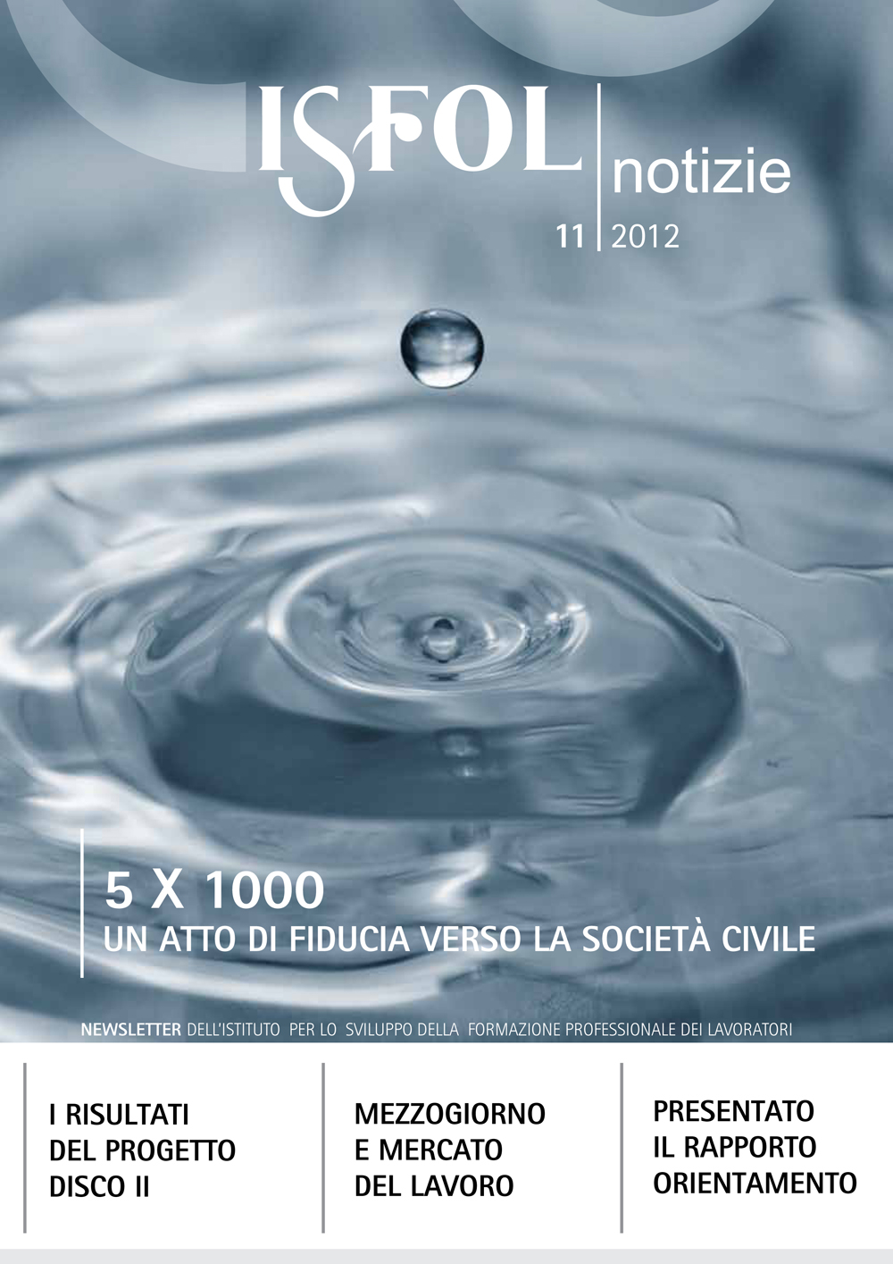 Copertina newsletter novembre 2012